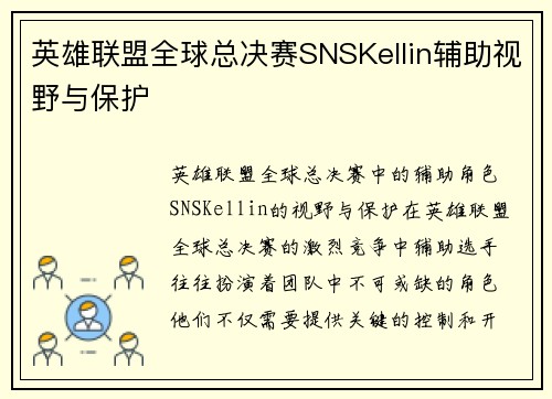 英雄联盟全球总决赛SNSKellin辅助视野与保护